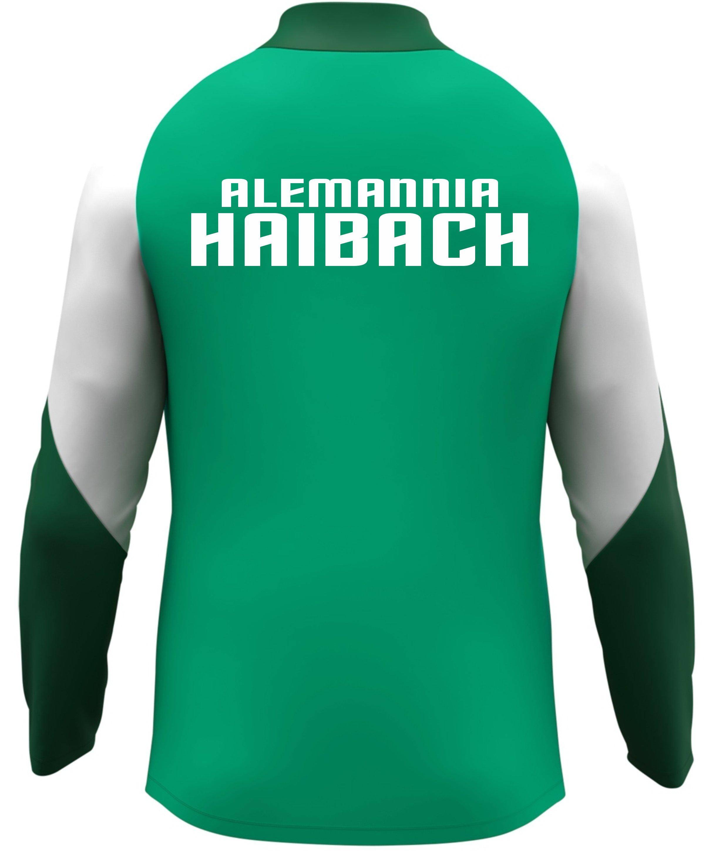 Polyesterjacke Dynamic Alemannia Haibach grün