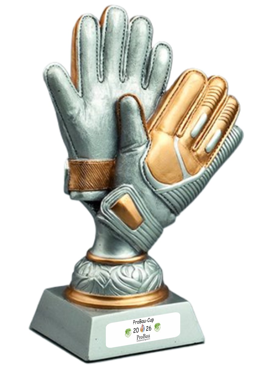 Pokal Golden Gloves silber