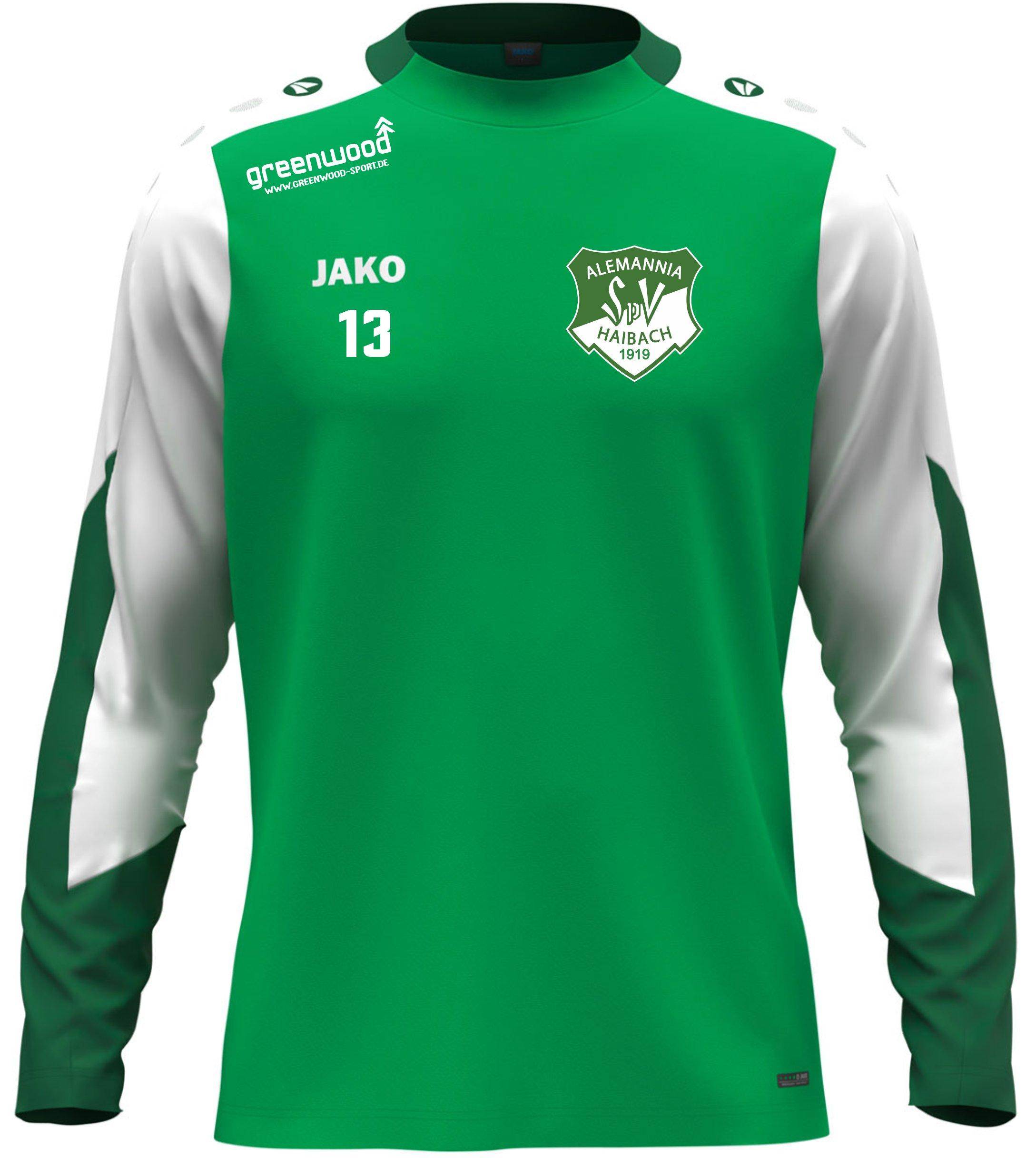Longsleeve Dynamic Alemannia Haibach grün