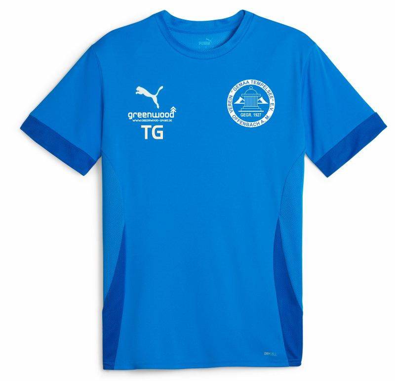 Puma teamGOAL Spieltagstrikot blau Gemaa