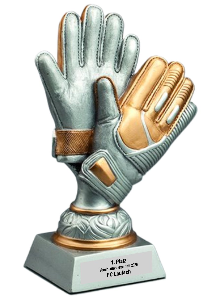 Pokal Golden Gloves silber