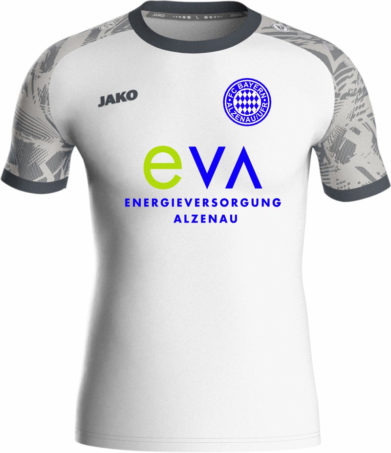 Trikot Iconic FC BAYERN ALZENAU 26-27 Away