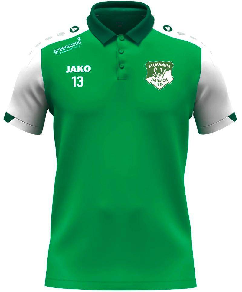 Polo Dynamic Alemannia Haibach grün
