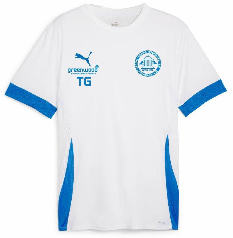 Puma teamGOAL Spieltagstrikot Kinder weiß Gemaa