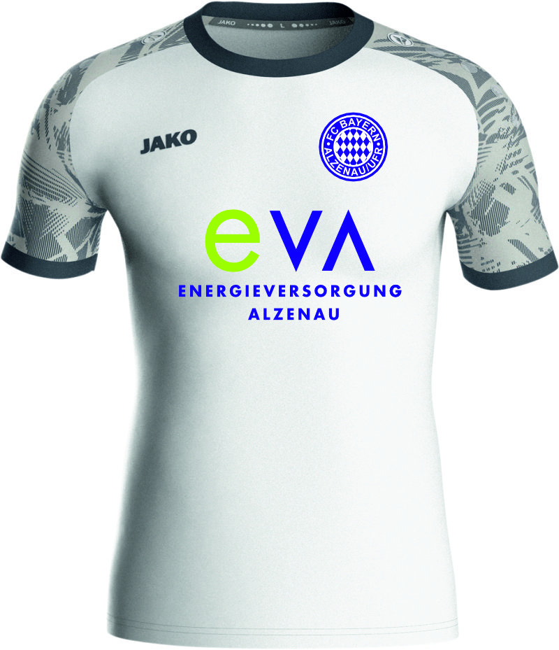 Trikot Iconic FC BAYERN ALZENAU 25-26 Away